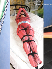 Totally Spies in bondage