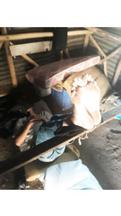 falaka feet
