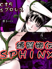 SPHINX Chapter 5