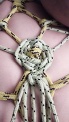 My rose knot