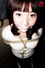 Chinese model
