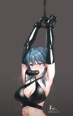 Penis gags
