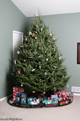 CF - xmas time 1