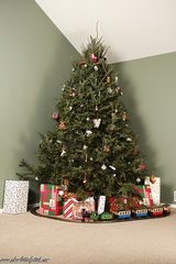 CF - xmas time 2