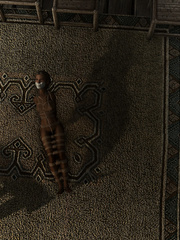 Skyrim girl bound and gagged