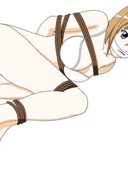 no-pornography 2012 art