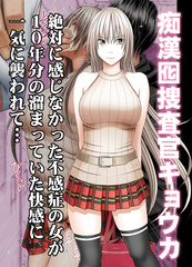 Chikan Otori Sousakan Kyouka