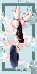 Anime Bondage Collection 3