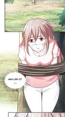 Manga & Manhua DID Collection