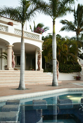 Cabo 2- Darling, Donna and Jenni on Display