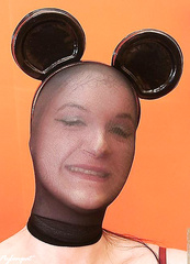 nylon mouse