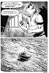 PIG n.27