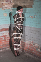 Riley Rose Tied (Stand)