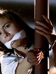 China Chow