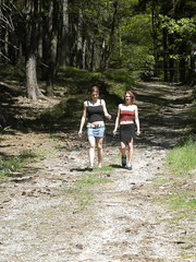 friends grabbed in the wood 1