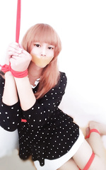 CD-BD-6