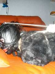 fur bondage
