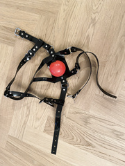 New harnessgag