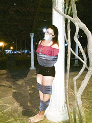 Steffy2
