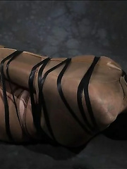 Pantyhose Encasement 3