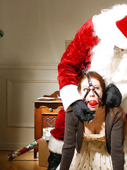 Pet For Christmas