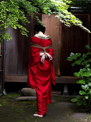 kinbaku art