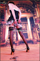 Chinese Rope Model 264