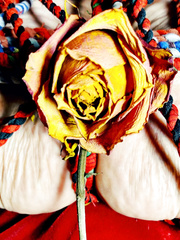 Bound with spirit rope
