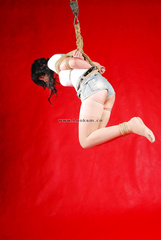 Chinese Rope Model 348