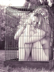 Free as a bird