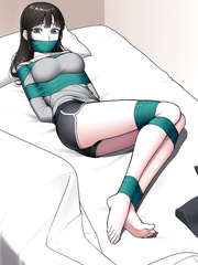 Novel