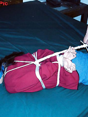 Hogtied Cuties