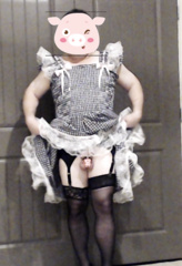 sissy piggy