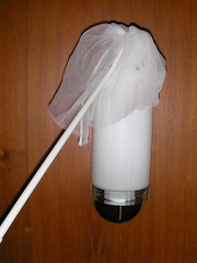 Maid captures maid