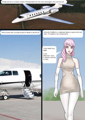 Stewardesses kidnapped part 1 (Translated)
