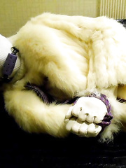 fur coat