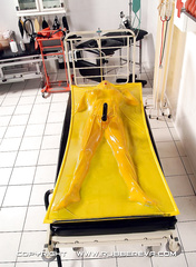 yelloy vacuum bed