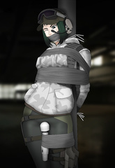 Rainbow Six Siege Damsels Bound and Gagged