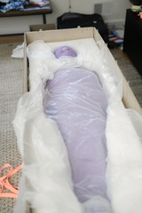Shelled mummification in a crate
