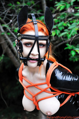 Redhead Ponygirl Ulorin