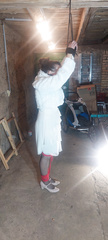 Tied standing in the barn