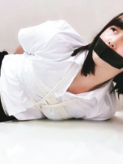 cd-bd-019