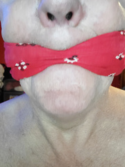 KIDNAPPED BANDANA BLINDFOLDED N GAGGED