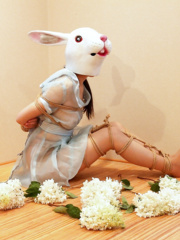 Bound Rabbit