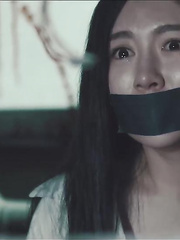 mainstream Chinese damsels collection