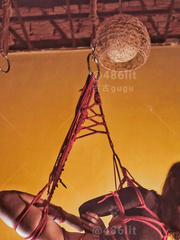 Shibari