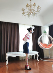 Chinese bondage