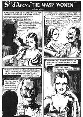 The wasp women