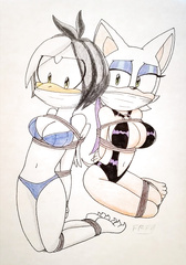 Rouge the bat