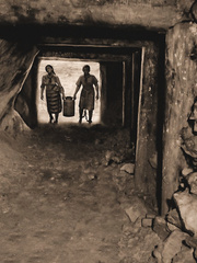 THE MINE 5 the essentials to survive